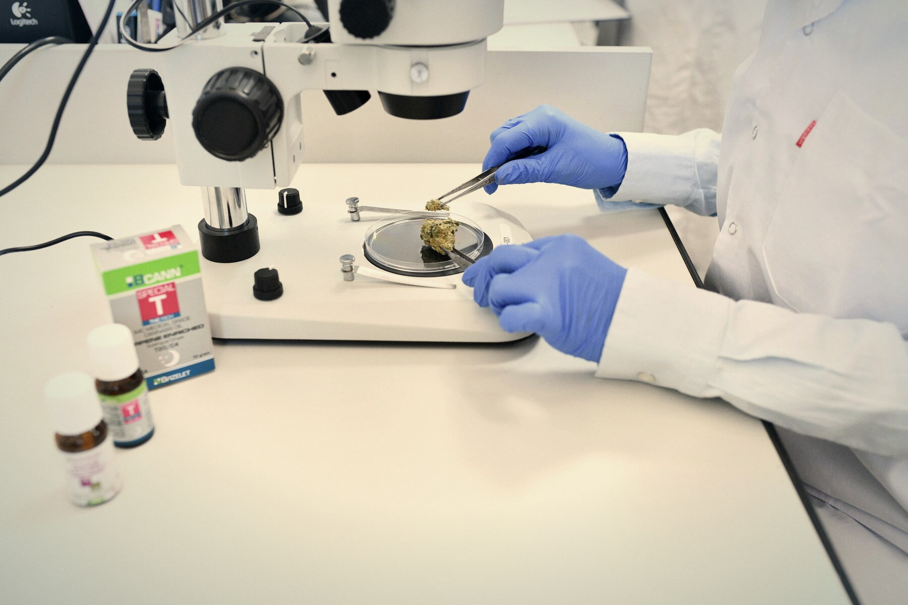 Bazelet scientist examining cannabis material under a stereo microscope